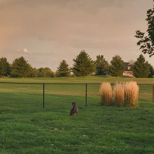 Meet your Posher, Molly